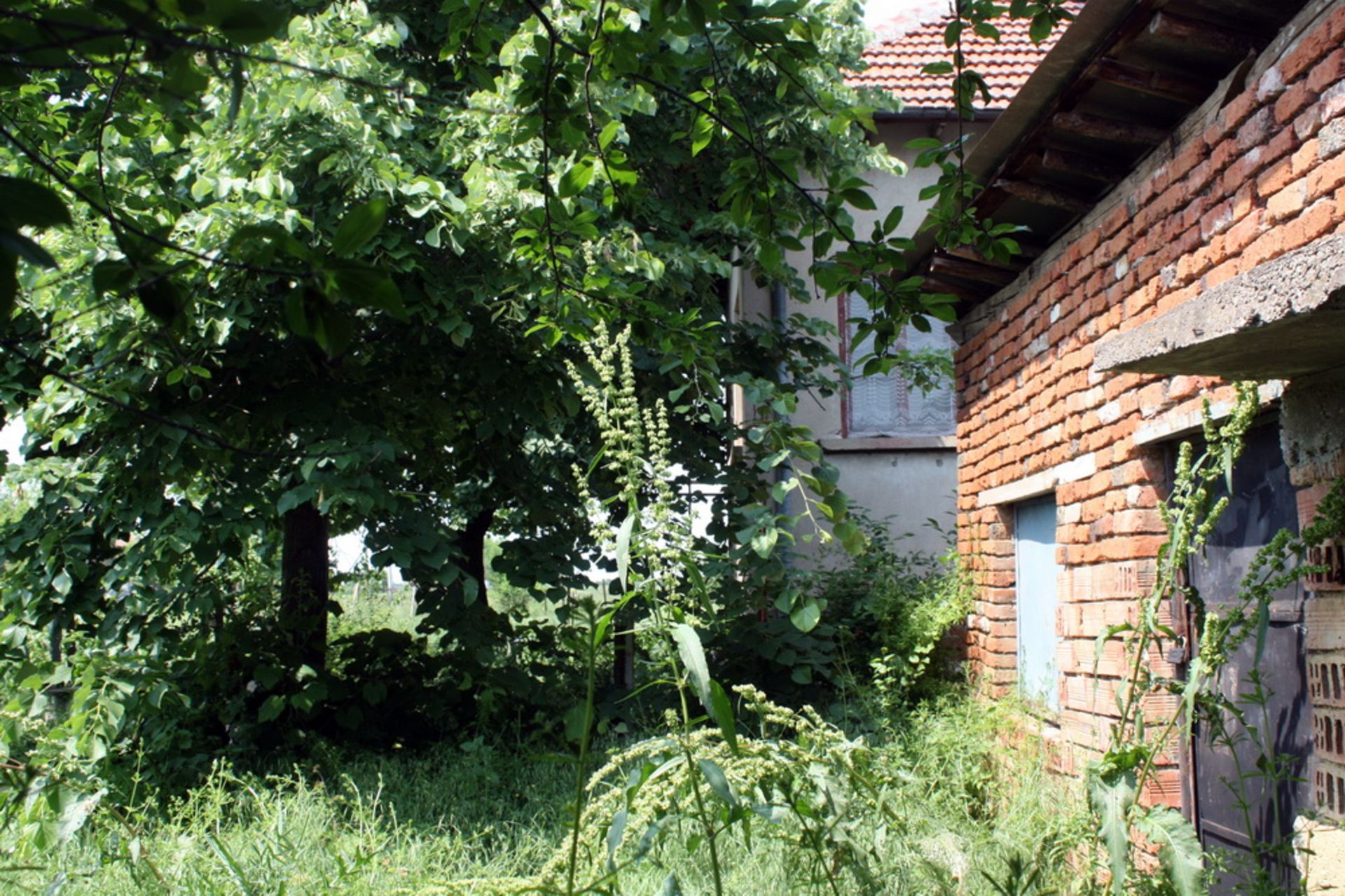 NICE HOUSE, OVER 1/2 ACRE BOROVAN + TWO OUTBUILDINGS AND 2,400 SQM OF LAND BULGARIA - Image 14 of 30