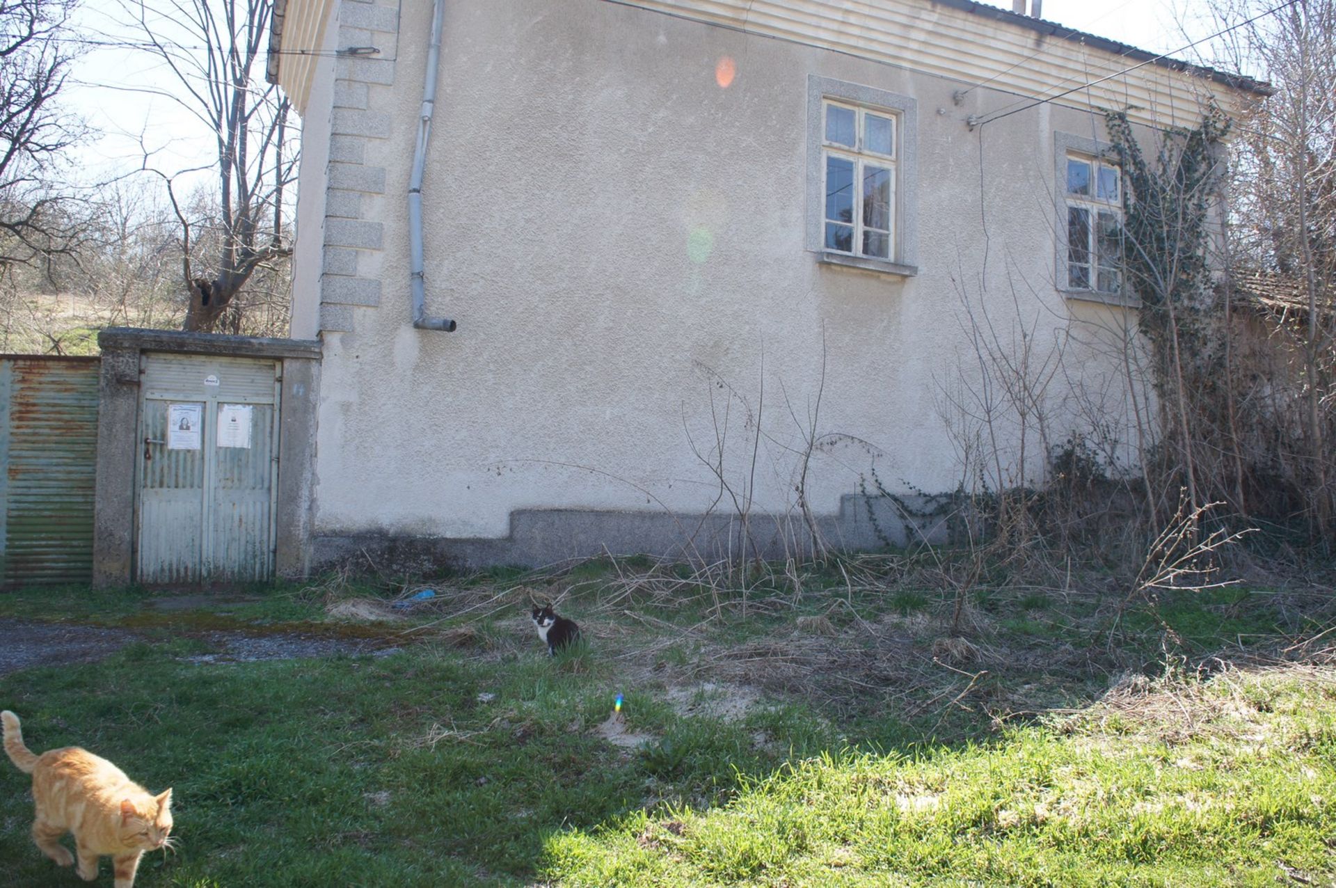 FREEHOLD HOME AND 3,500 SQM OF LAND IN SLOMER, BULGARIA - Image 4 of 28