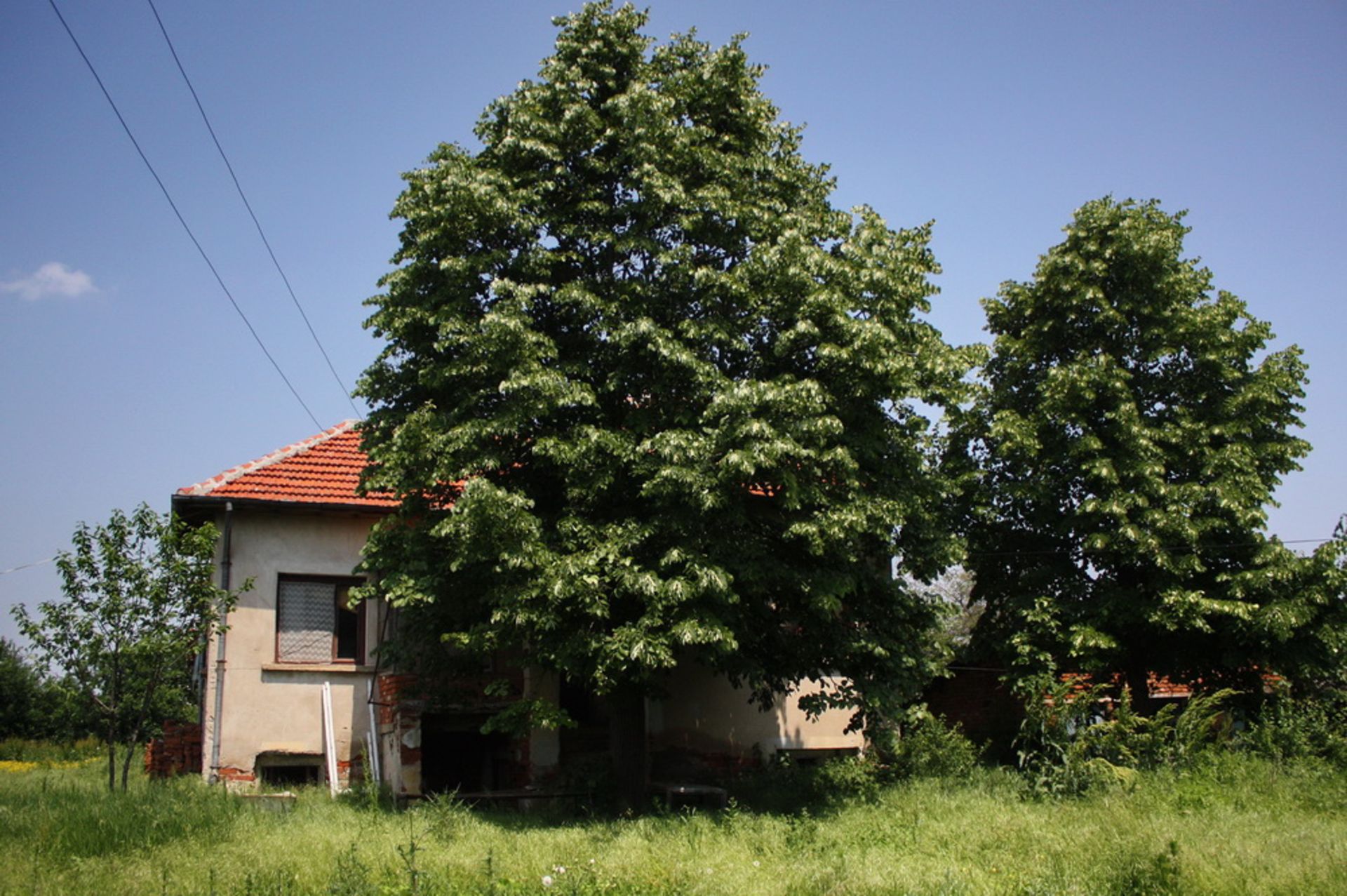 NICE HOUSE, OVER 1/2 ACRE BOROVAN + TWO OUTBUILDINGS AND 2,400 SQM OF LAND BULGARIA