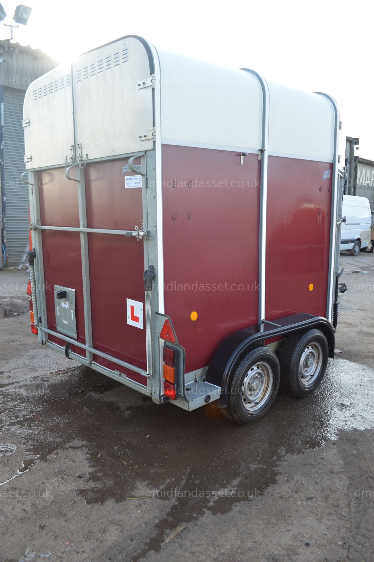 2007 IFOR WILLIAMS HB505 HORSE BOX *NO VAT* - Image 3 of 18