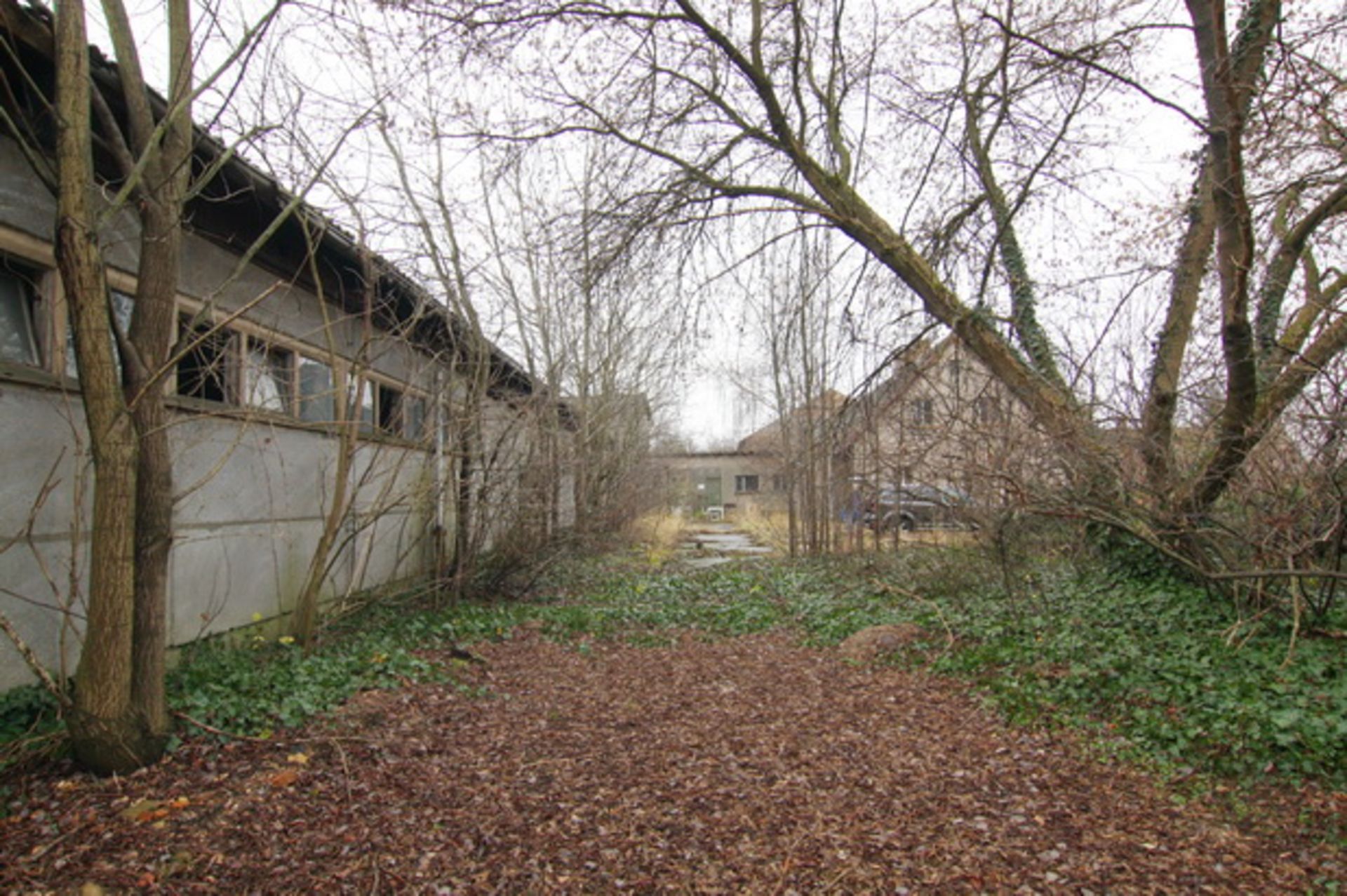 LARGE FARM AND 3,681 SQM OF LAND IN LIESKAU, GERMANY - Image 46 of 54