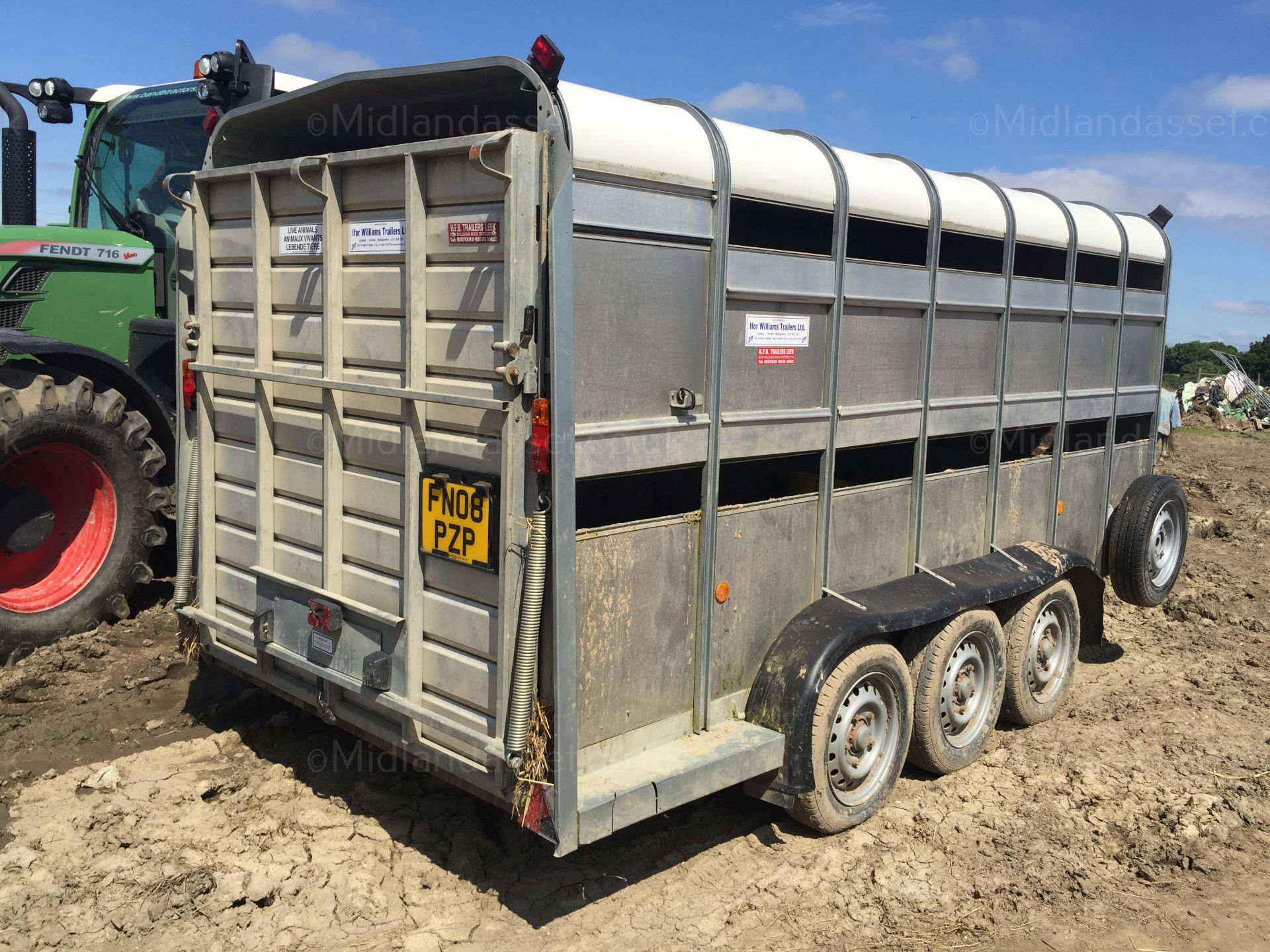 DS - 2013 IFOR WILLIAMS TRI AXLE CATTLE TRAILER   YEAR OF MANUFACTURE: 2013 GROSS WEIGHT: 3500 kg - Image 2 of 13