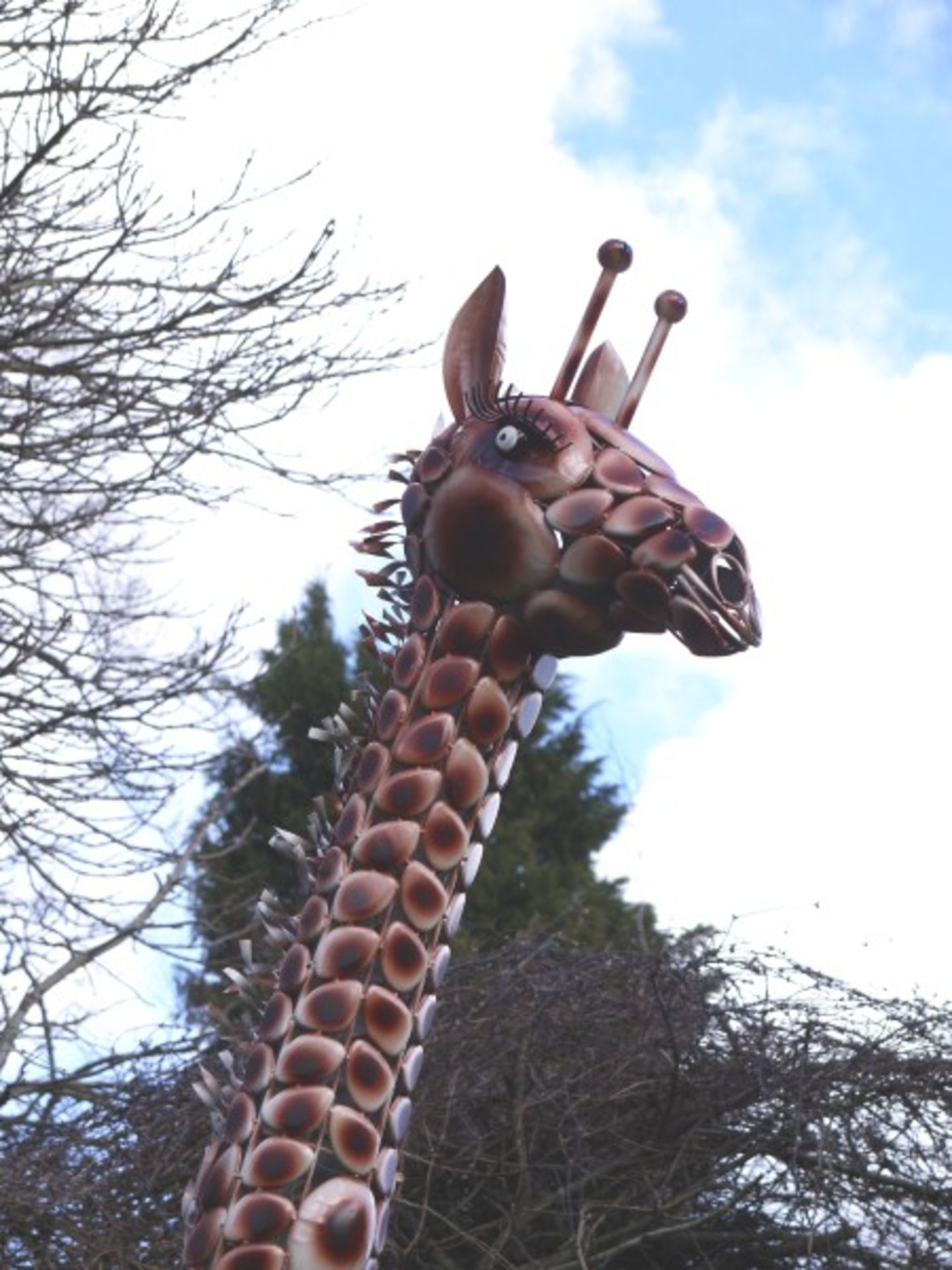 OVER 12FT HIGH! BEAUTIFUL LARGE GIRAFFE! *PLUS VAT*   IDEAL EVENTS, LARGE GARDENS, SHOWS ETC   GREAT - Image 4 of 5
