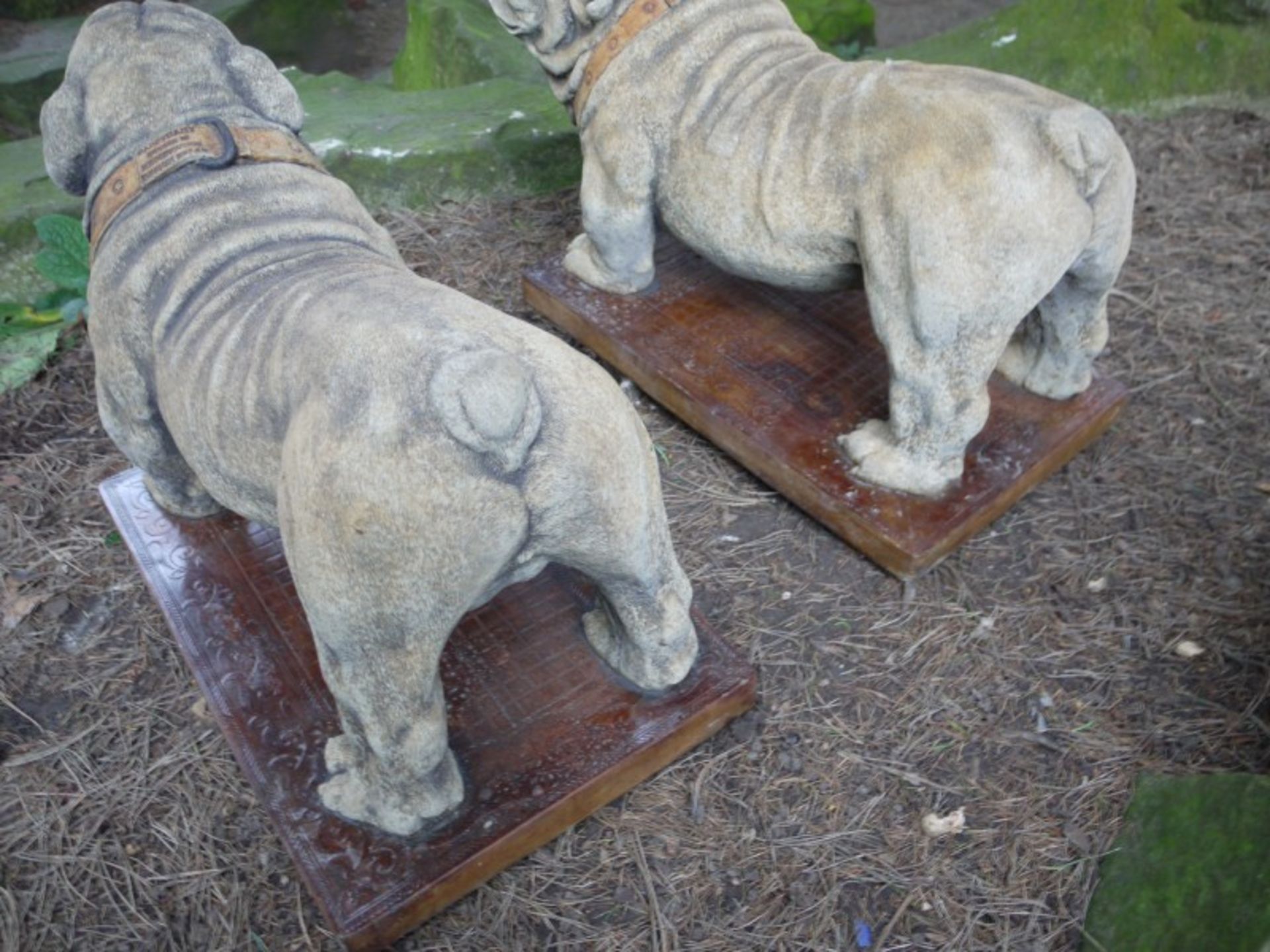 PAIR OF BULLDOGS   DIMENSIONS: Length: 65 cm Width: 33 cm Height: 40 cm   COLLECTION / VIEWING - Image 6 of 6