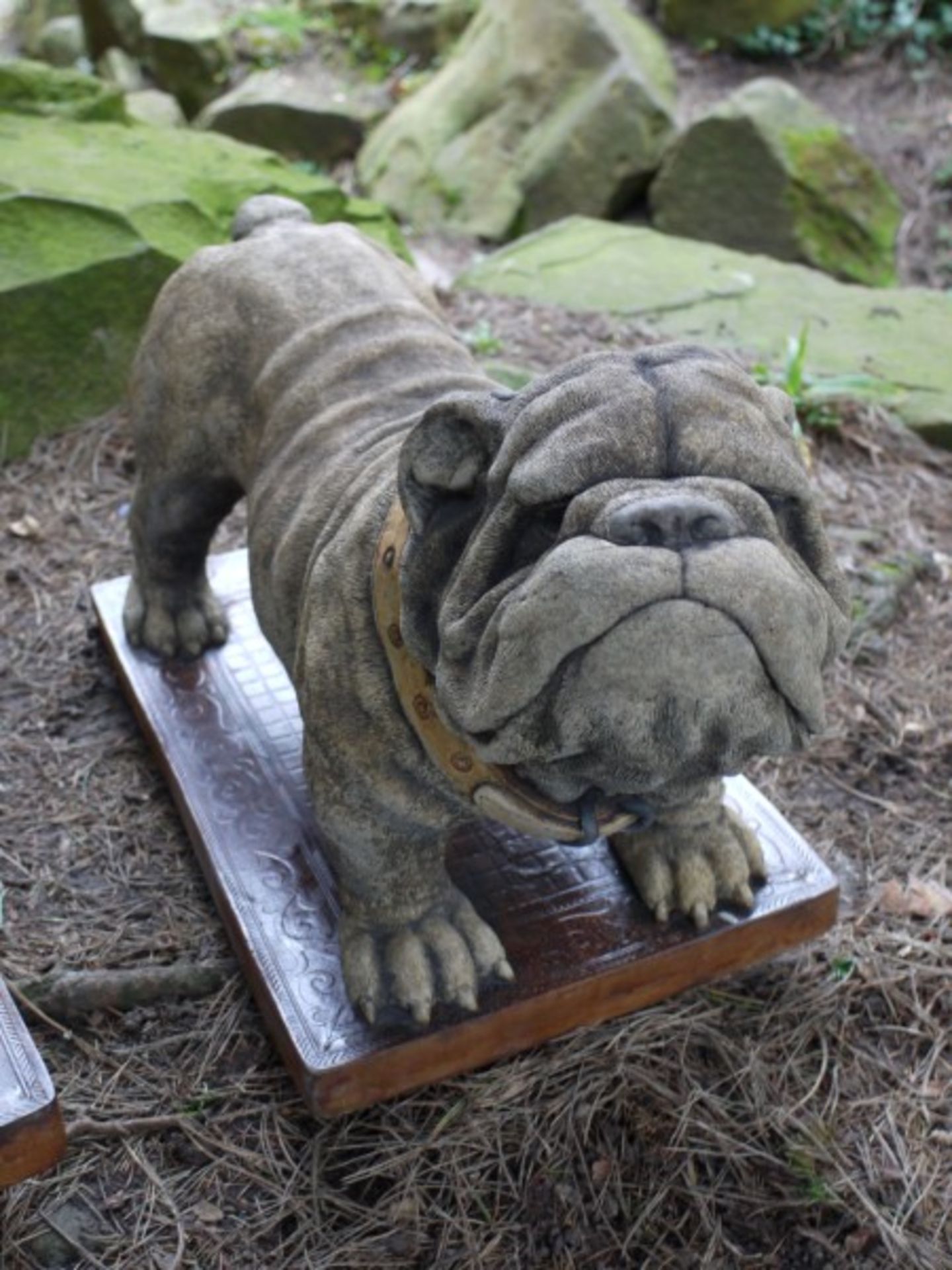 PAIR OF BULLDOGS   DIMENSIONS: Length: 65 cm Width: 33 cm Height: 40 cm   COLLECTION / VIEWING - Image 3 of 6