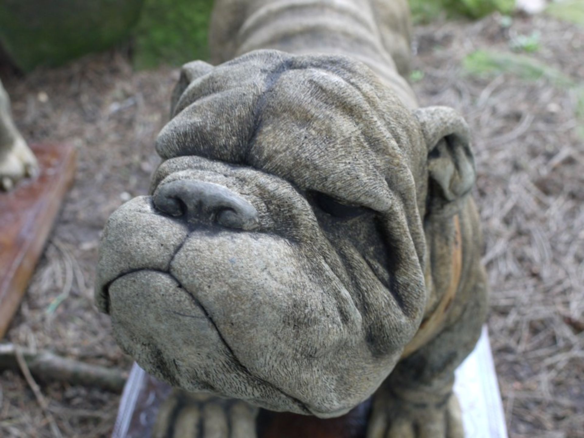 PAIR OF BULLDOGS   DIMENSIONS: Length: 65 cm Width: 33 cm Height: 40 cm   COLLECTION / VIEWING - Image 4 of 6