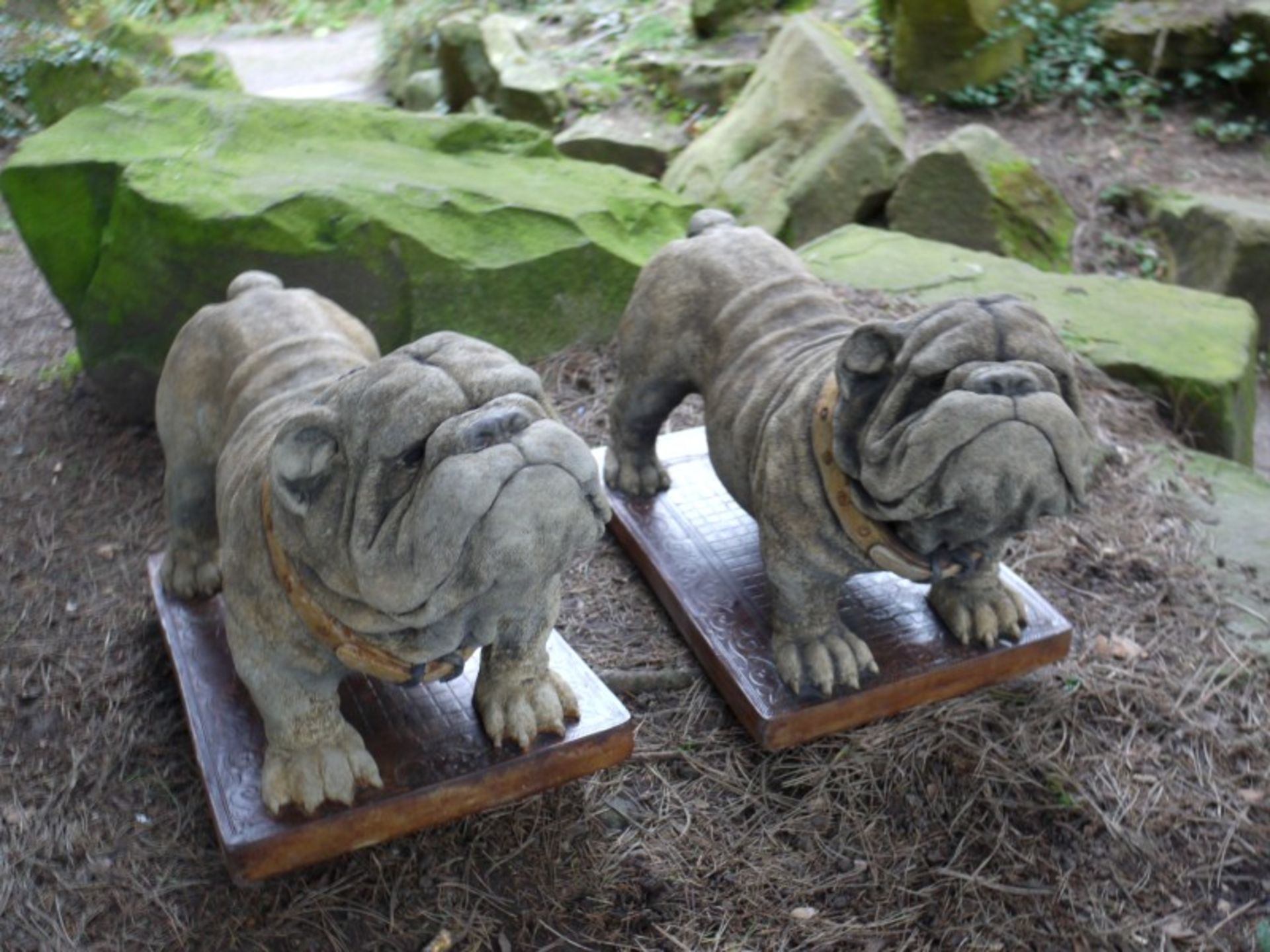 PAIR OF BULLDOGS   DIMENSIONS: Length: 65 cm Width: 33 cm Height: 40 cm   COLLECTION / VIEWING - Image 2 of 6