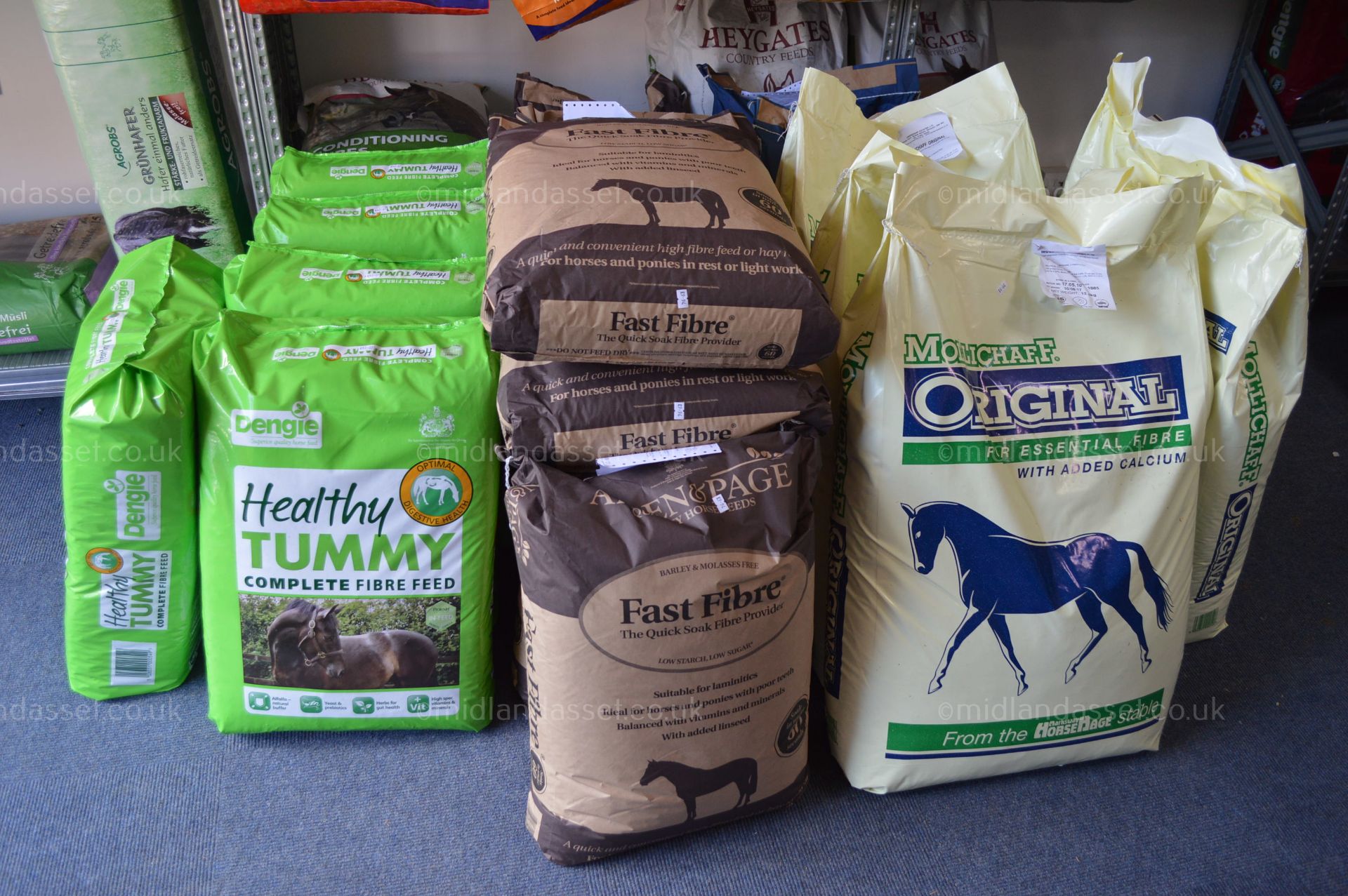 ENTIRE CONTENTS OF AN EQUESTRIAN SHOP - Image 58 of 66