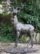 MEDIUM SIZED STANDING STAG (LOOKING RIGHT) *PLUS VAT*