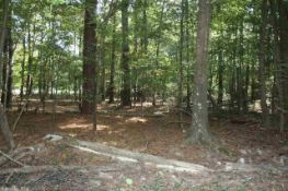 2 LOTS FOR THE PRICE OF ONE!! PINE BLUFF, ARKANSAS