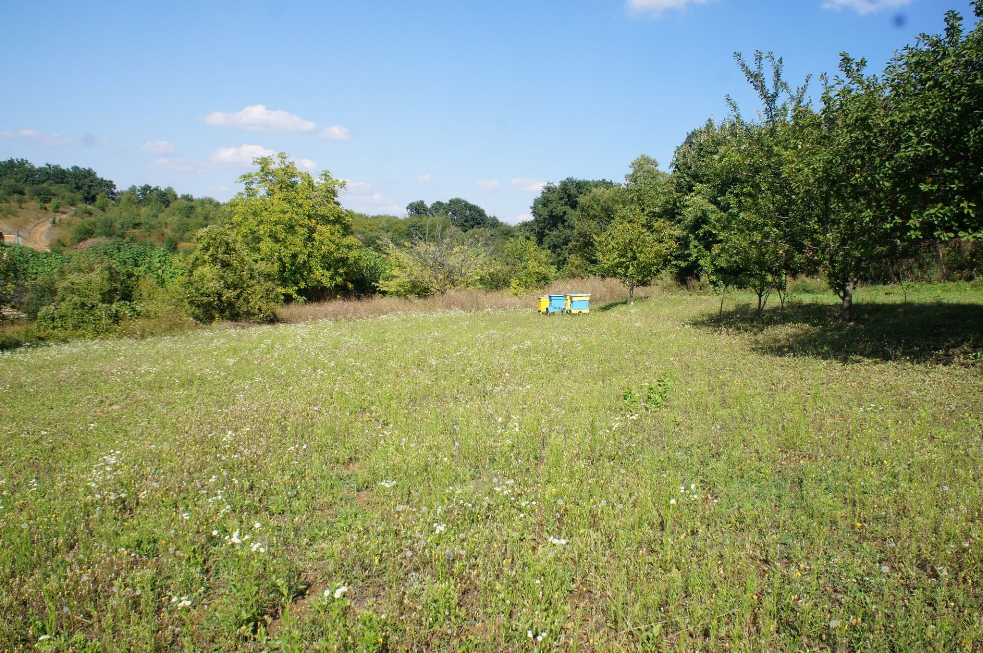 PROPERTY AND 1,770 SQM OF LAND IN POPOVO, BULGARIA - Image 48 of 48