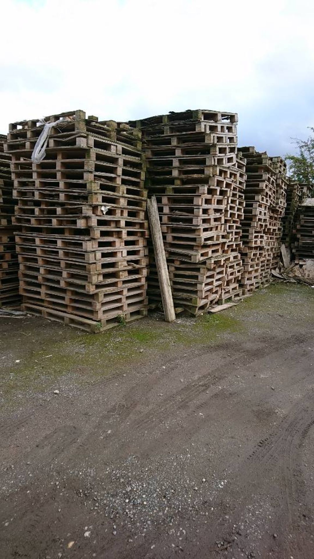 PLY TOP PALLETS 400 IN TOTAL - NO RESERVE - TO CLEAR - Image 2 of 3