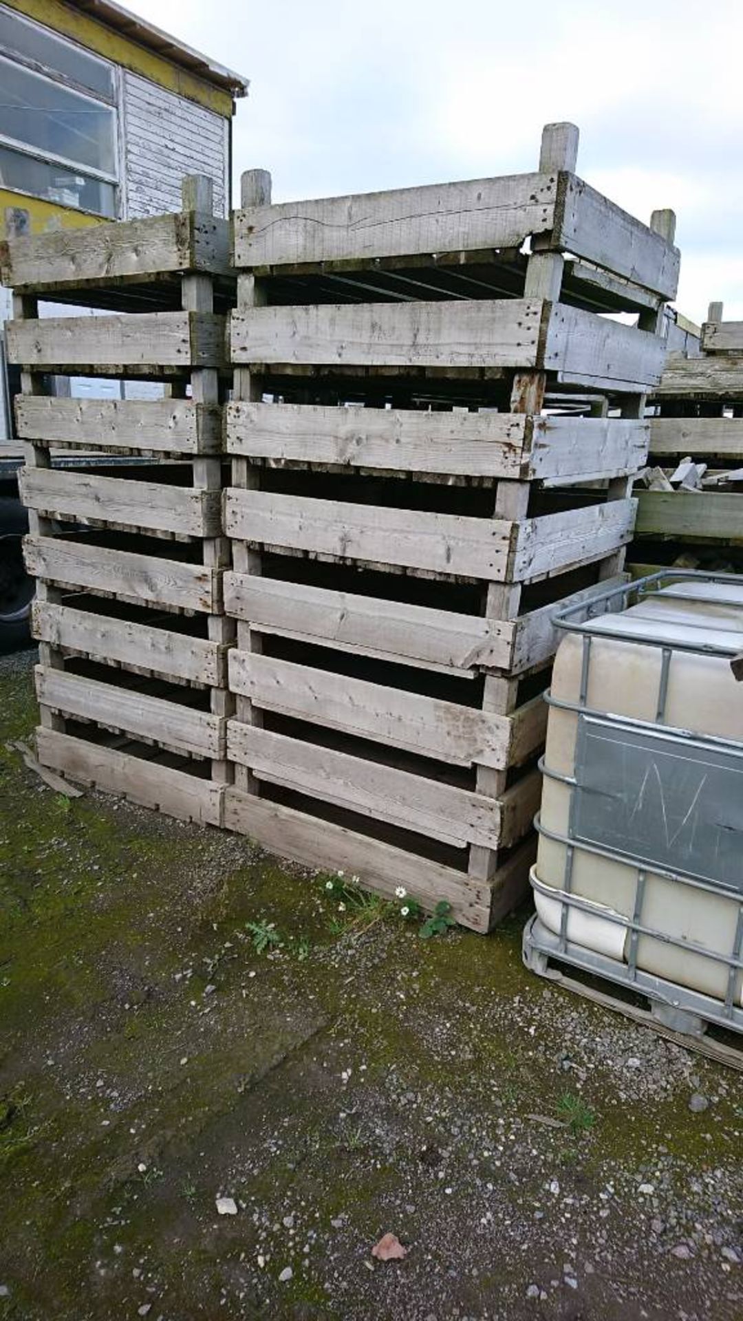 250 X £1 EA CLEAN SOLID PINE EX-MUSHROOM BOXES/TRAYS RECLAIMATION YARD £1