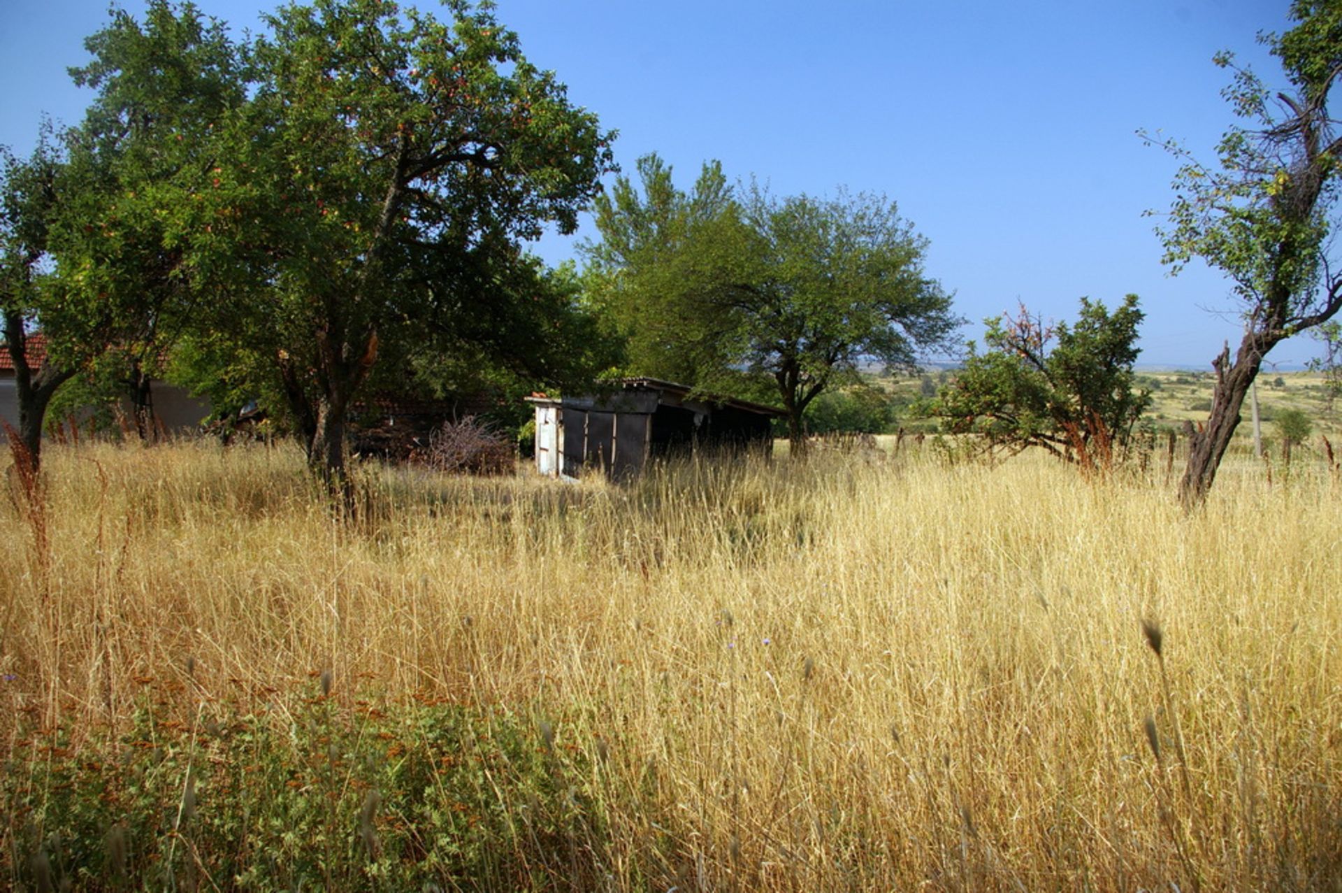 Two Houses + 1,700 Sqm Land + Barn Rabrovo, Vidin, BG - Image 14 of 32