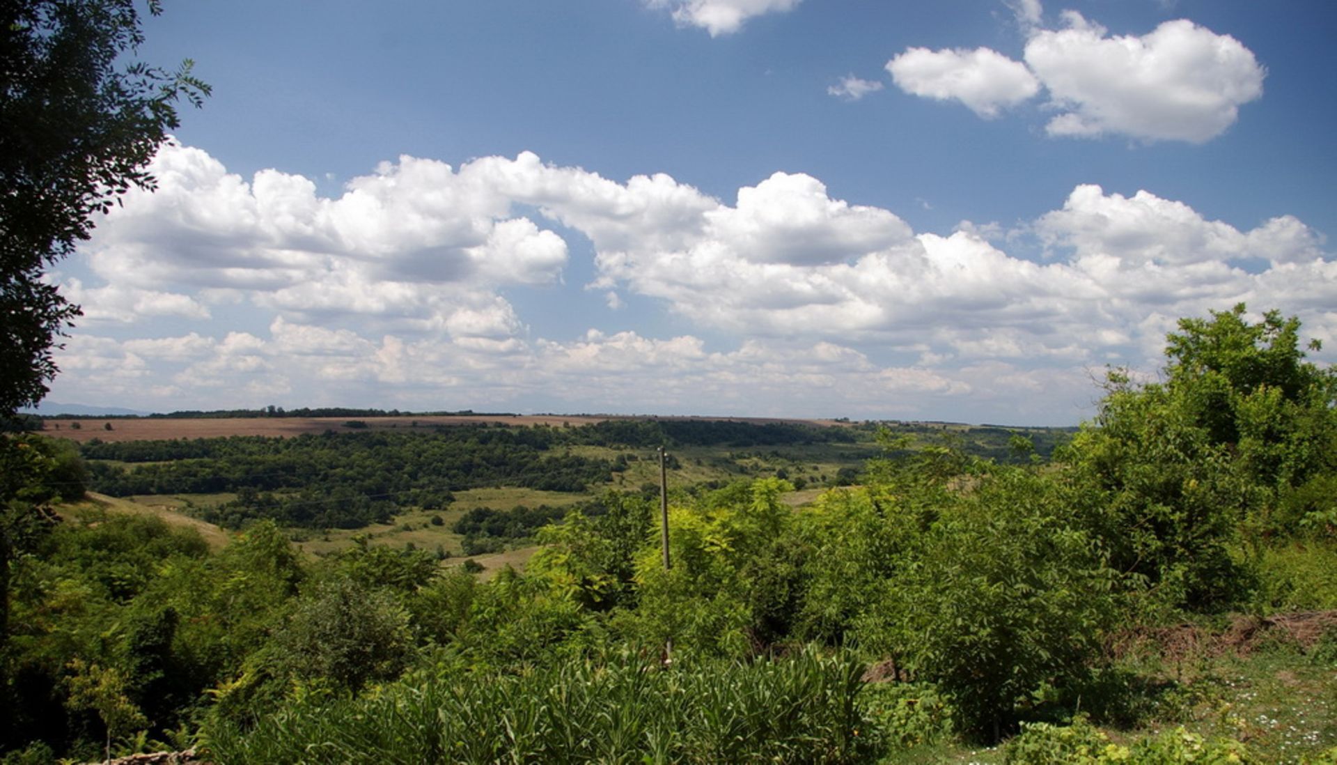 Two Houses + 1,700 Sqm Land + Barn Rabrovo, Vidin, BG - Image 12 of 32