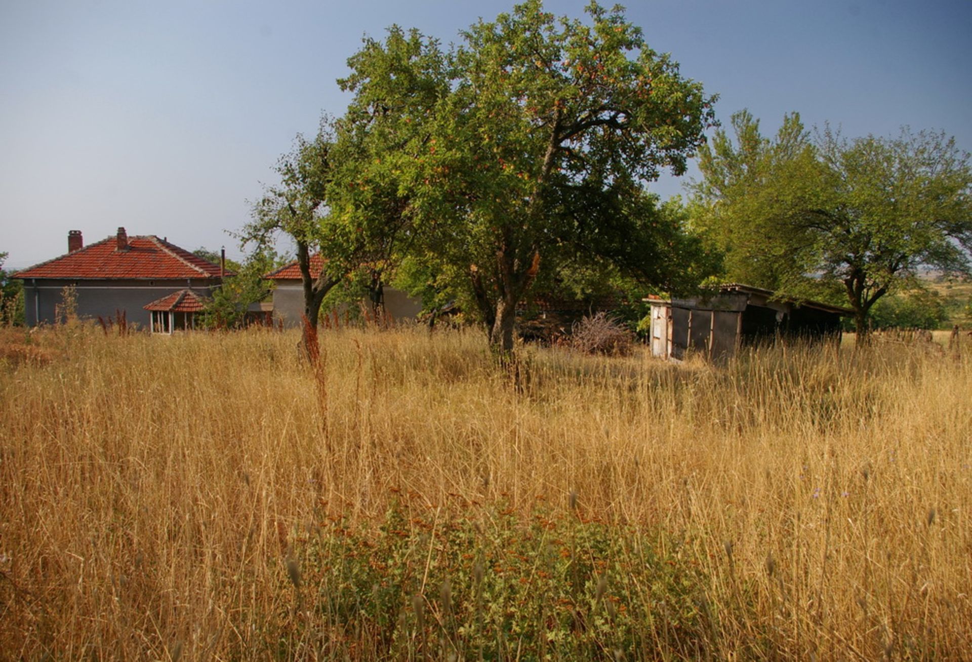 Two Houses + 1,700 Sqm Land + Barn Rabrovo, Vidin, BG - Image 13 of 32