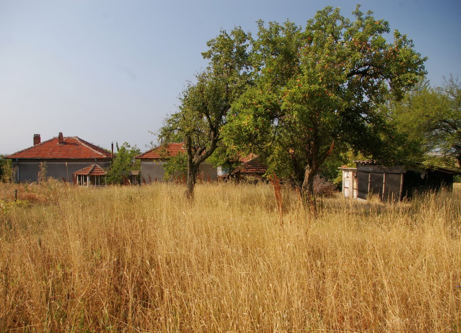 Two Houses + 1,700 Sqm Land + Barn Rabrovo, Vidin, BG - Image 6 of 32