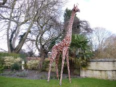 OVER 12FT HIGH! BEAUTIFUL LARGE GIRAFFE! *PLUS VAT*   IDEAL EVENTS, LARGE GARDENS, SHOWS ETC   GREAT
