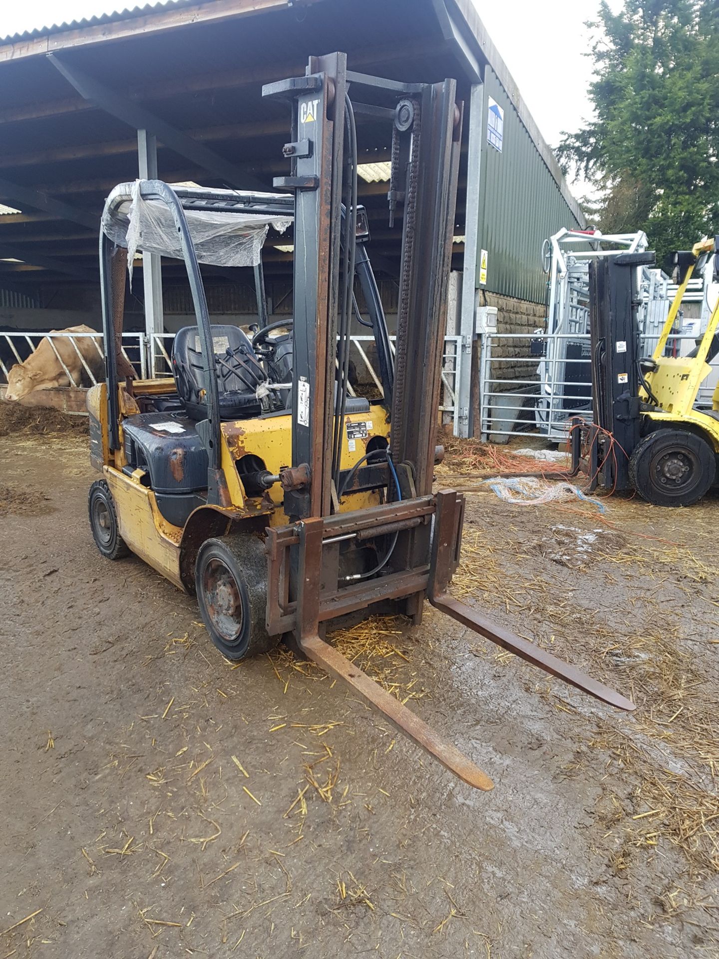 2004 CATERPILLAR DP20N 2 TONNE DIESEL FORKLIFT *PLUS VAT*