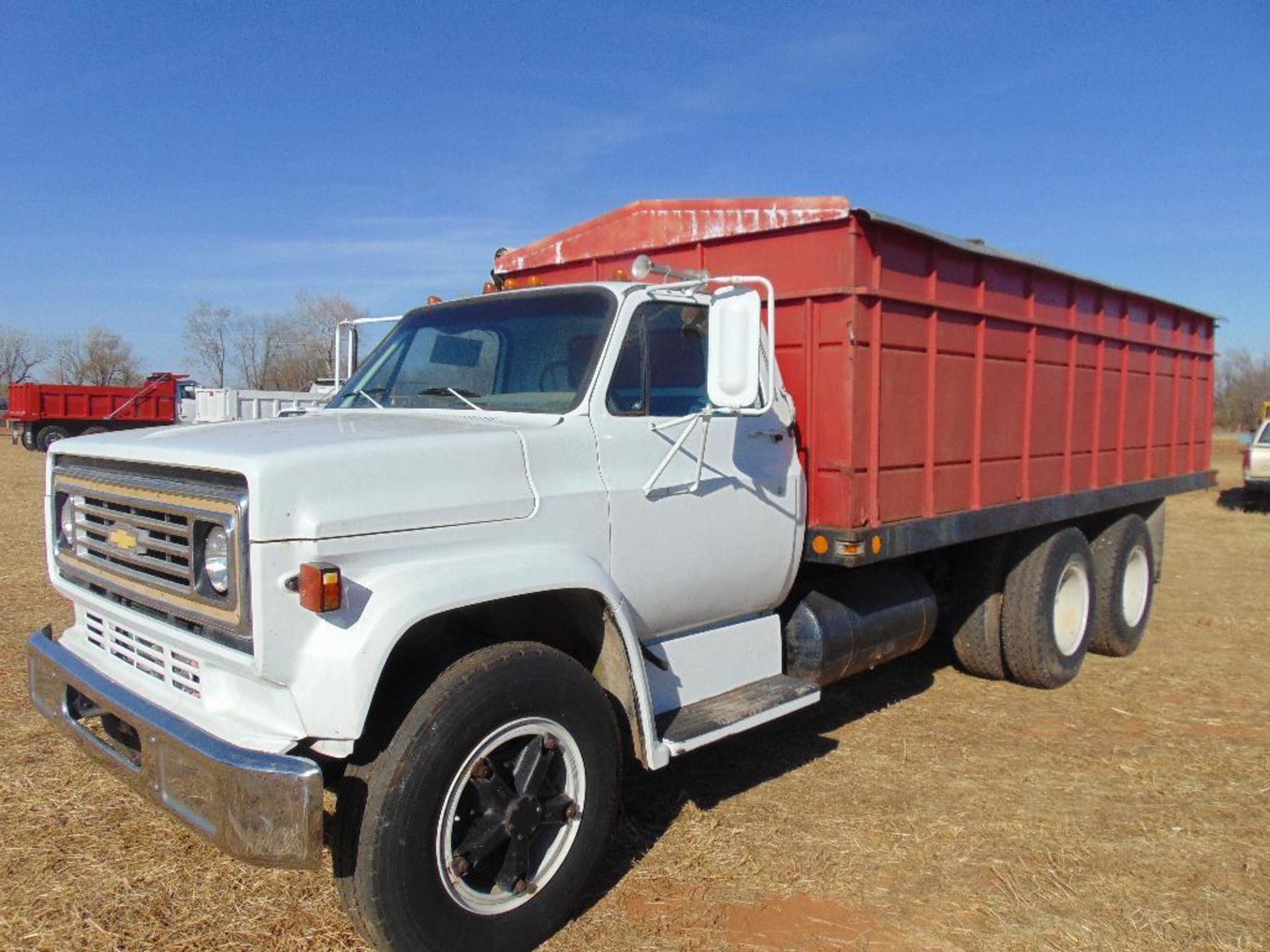 1973 Chevy 6500 T/A Grain Truck, s/n cce663v159454, 20' bed w/twin dump cylinders, grain boards, v8 - Image 4 of 8