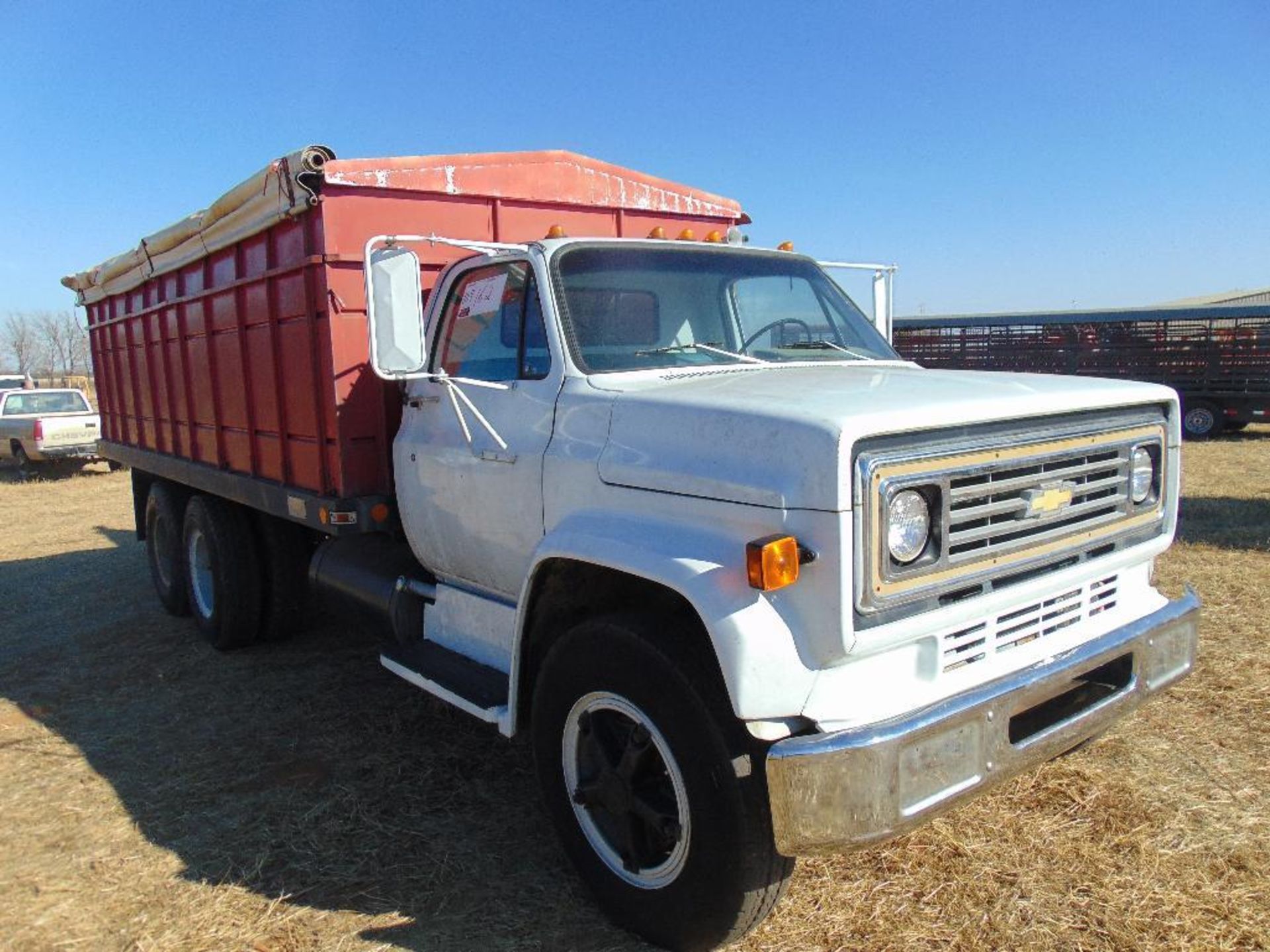 1973 Chevy 6500 T/A Grain Truck, s/n cce663v159454, 20' bed w/twin dump cylinders, grain boards, v8 - Image 2 of 8