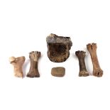 Lot Of Early Bone Tools and Grindstone.