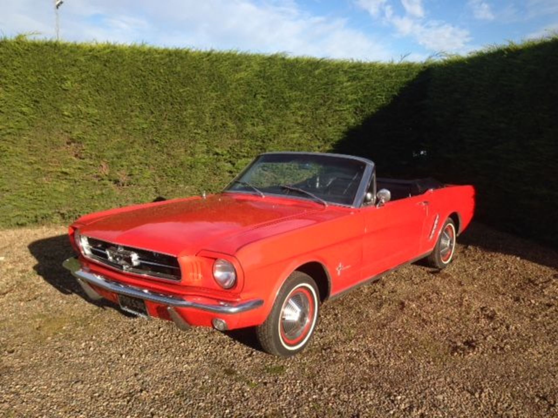 FORD MUSTANG - 3300cc - Bild 2 aus 6