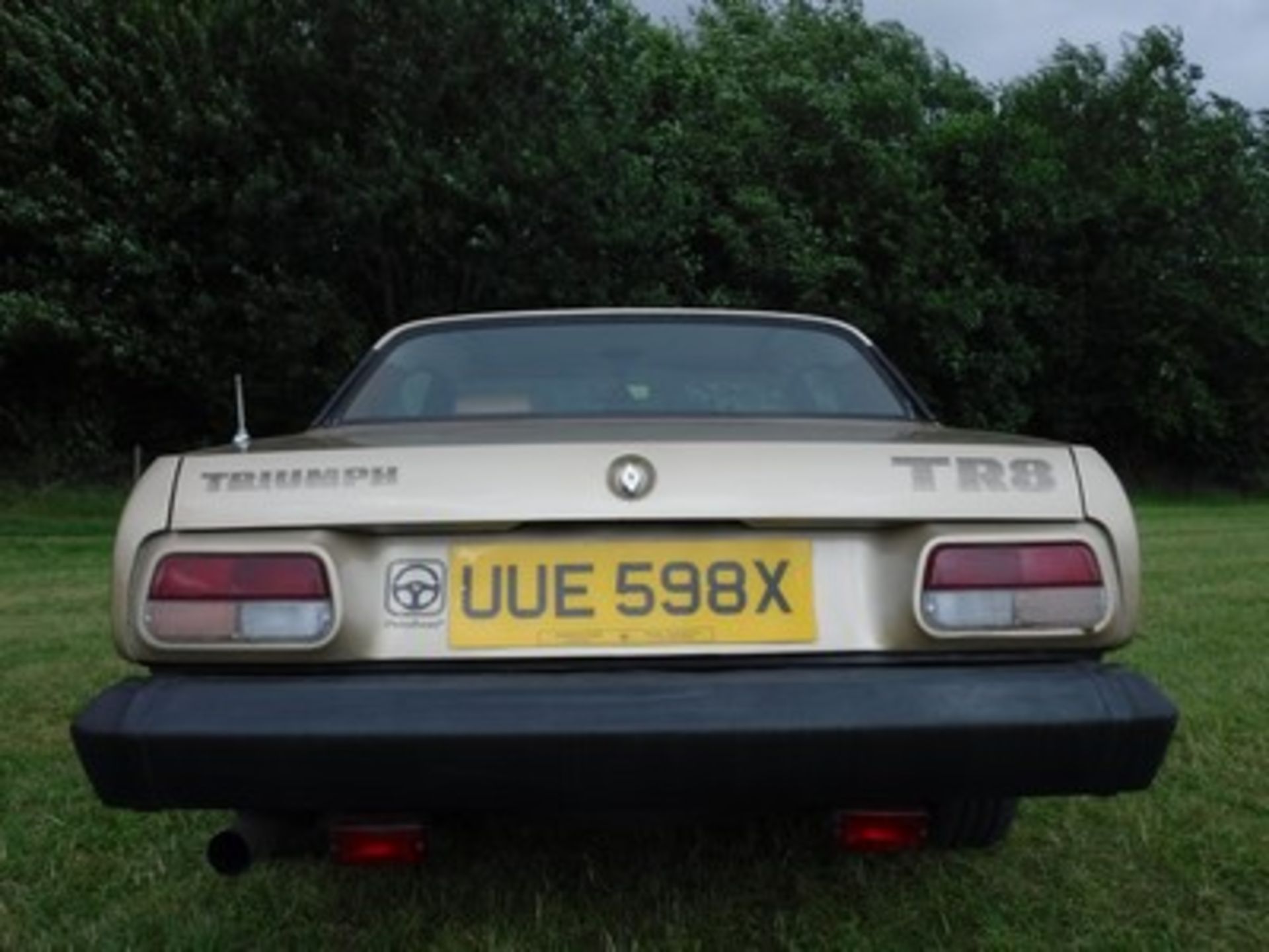 TRIUMPH TR7 - 3500cc - Image 12 of 15