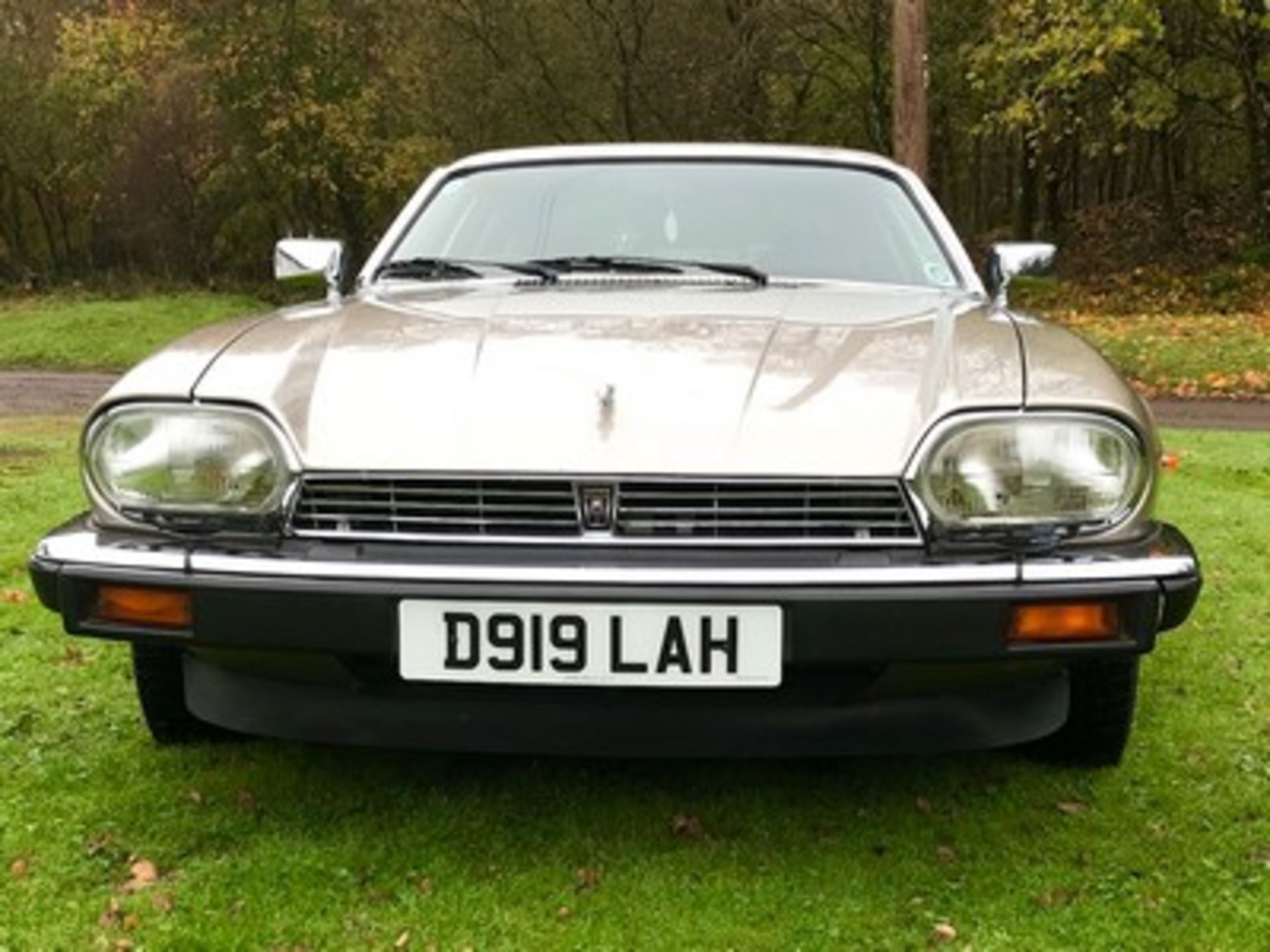 JAGUAR XJS HE AUTO - 5343cc - Image 7 of 32