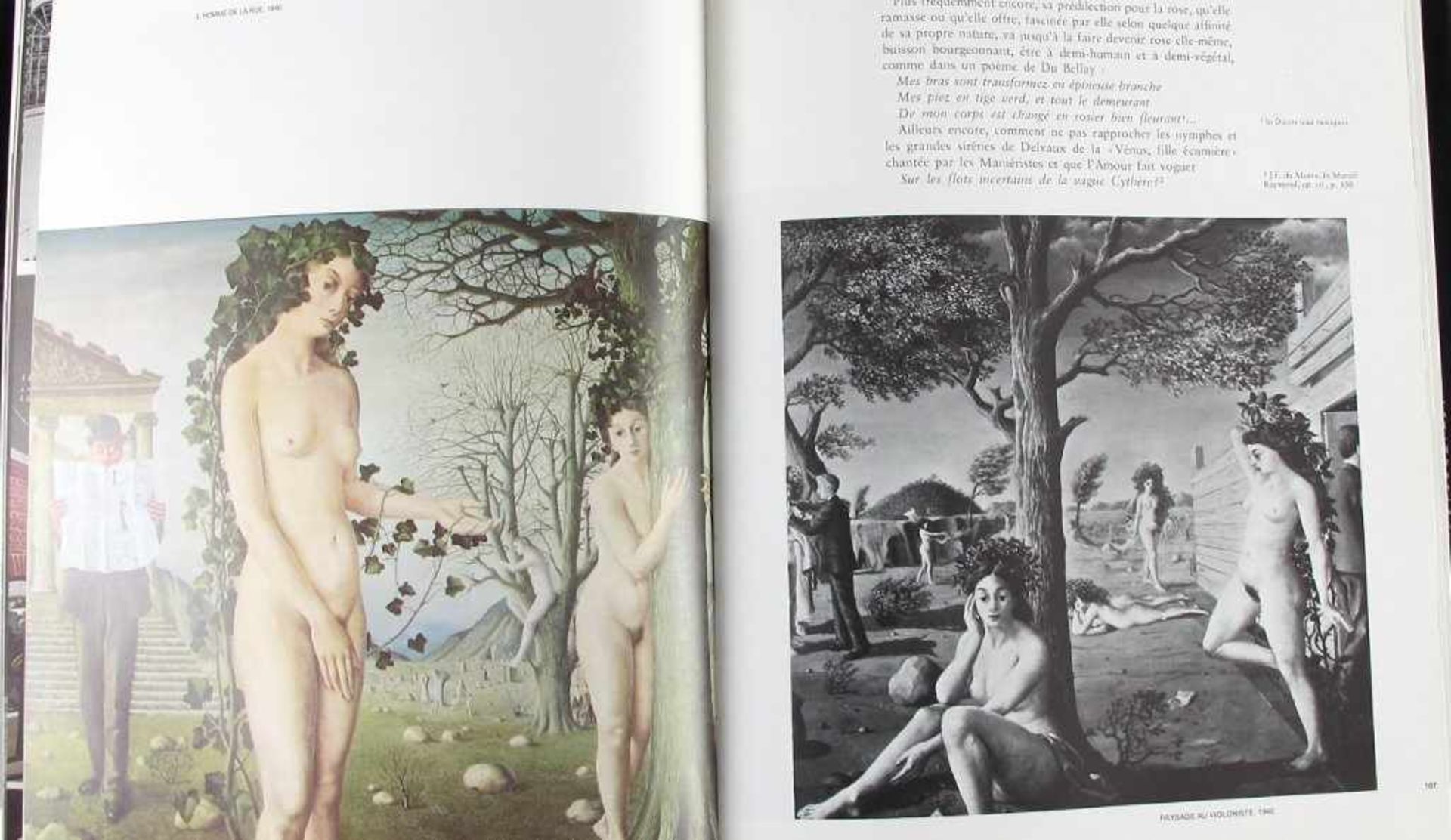 Kunst: Butor/Clair/Houbart-Wilkin. Delvaux. Catalogue de l'Oeuvre Peint. Cosmos Monographies, - Bild 2 aus 2