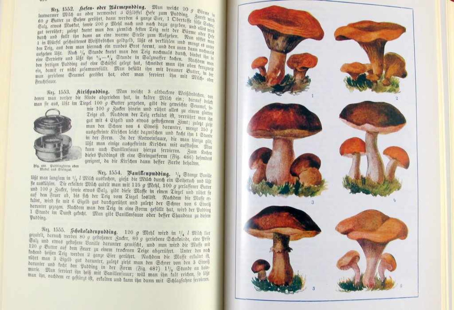 Kochbuch: Ehrhardt, Mathilde. Großes Illustriertes Kochbuch für den einfachen bürgerlichen und den - Image 2 of 2