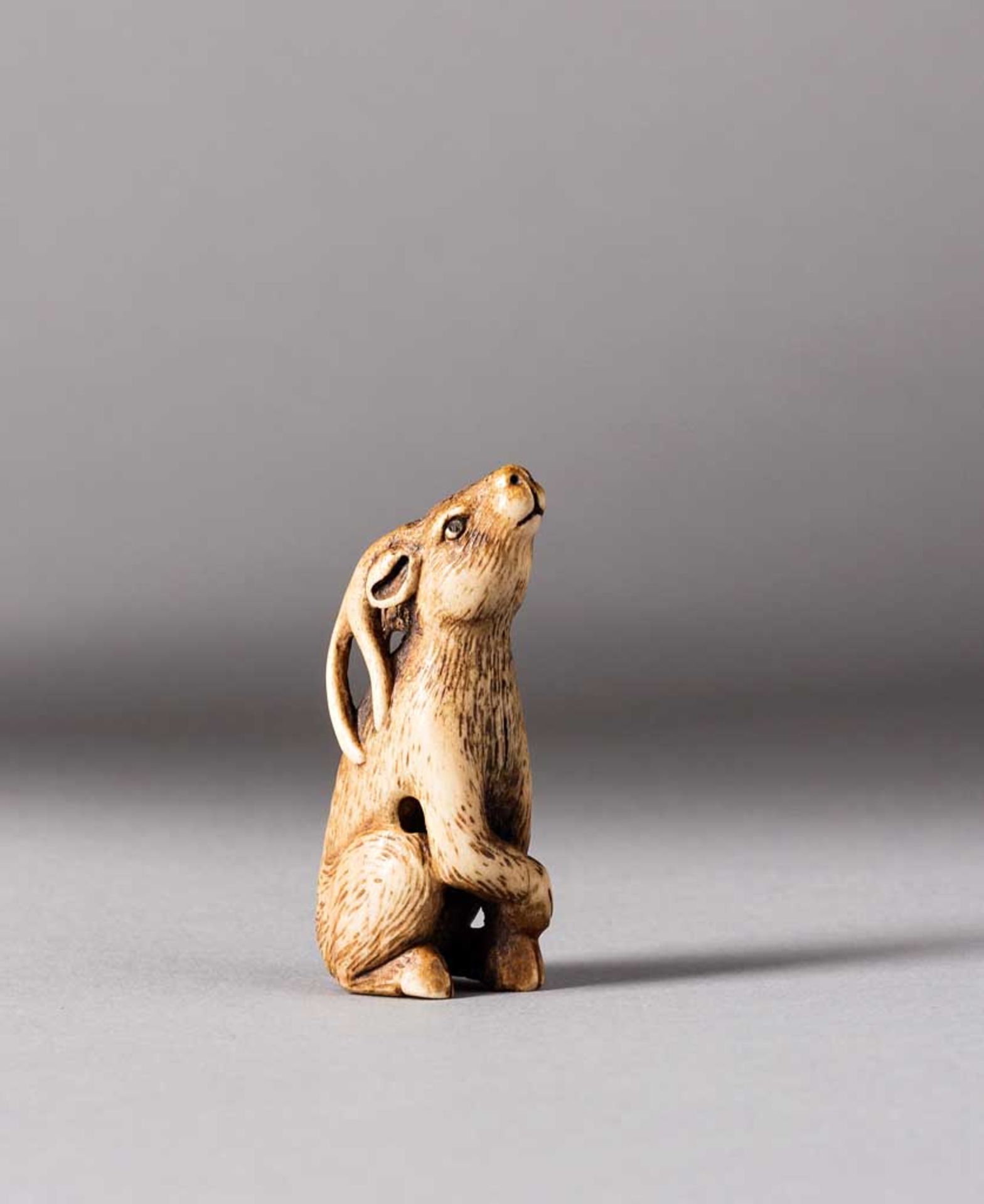 Netsuke. Sitzender Hirsch. Hirschhorn. H 4,8 cm