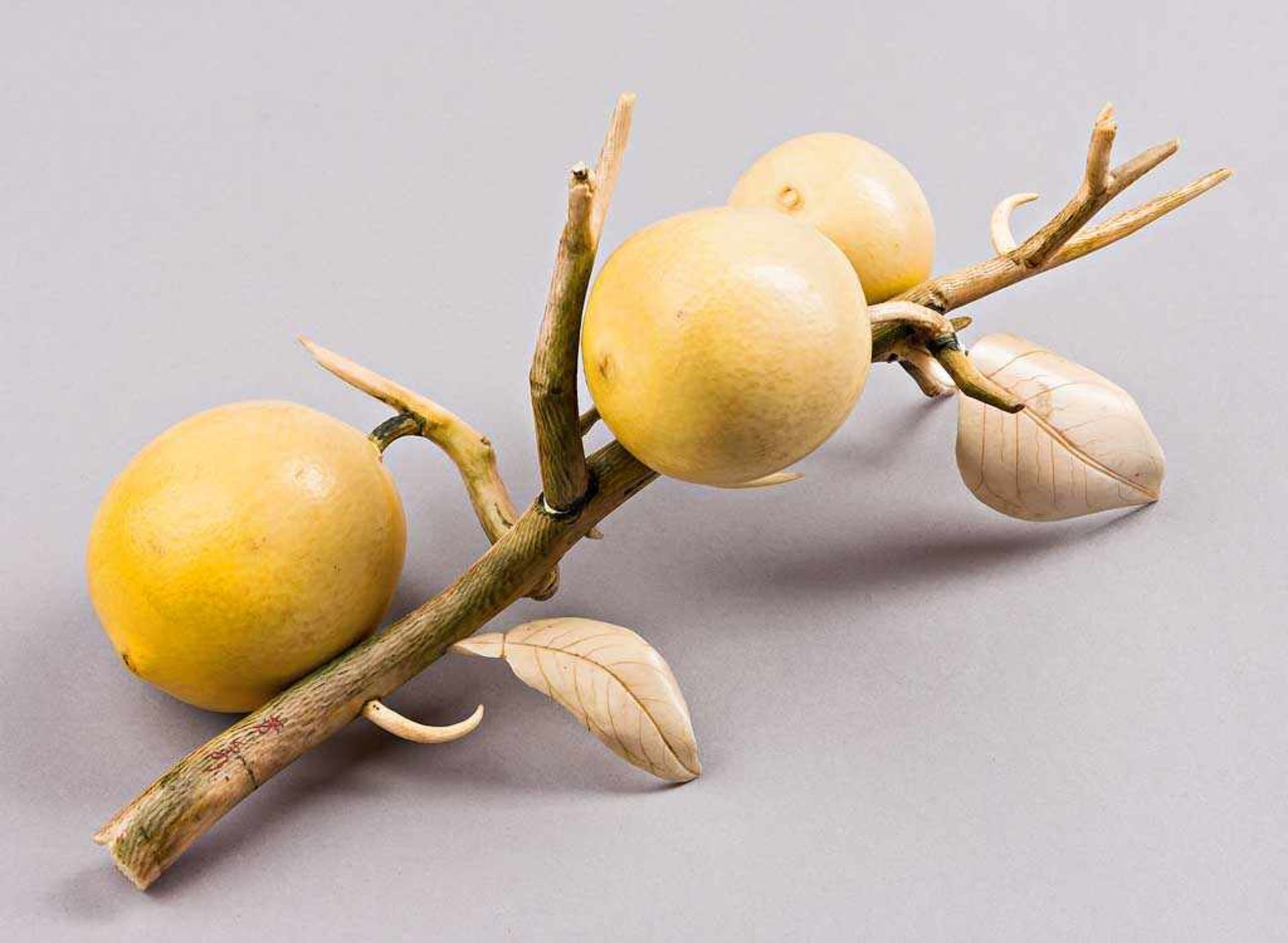 Zitronenzweig mit drei Früchten. Feine Elfenbeinschnitzerei. Japan, Meiji-Zeit Ende 19. Jh. L 28 cm.