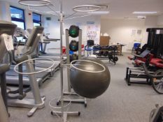 Exercise Ball and Stand