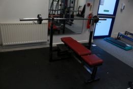 Weight Lifting Bench