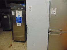 Valera Large Upright Fridge