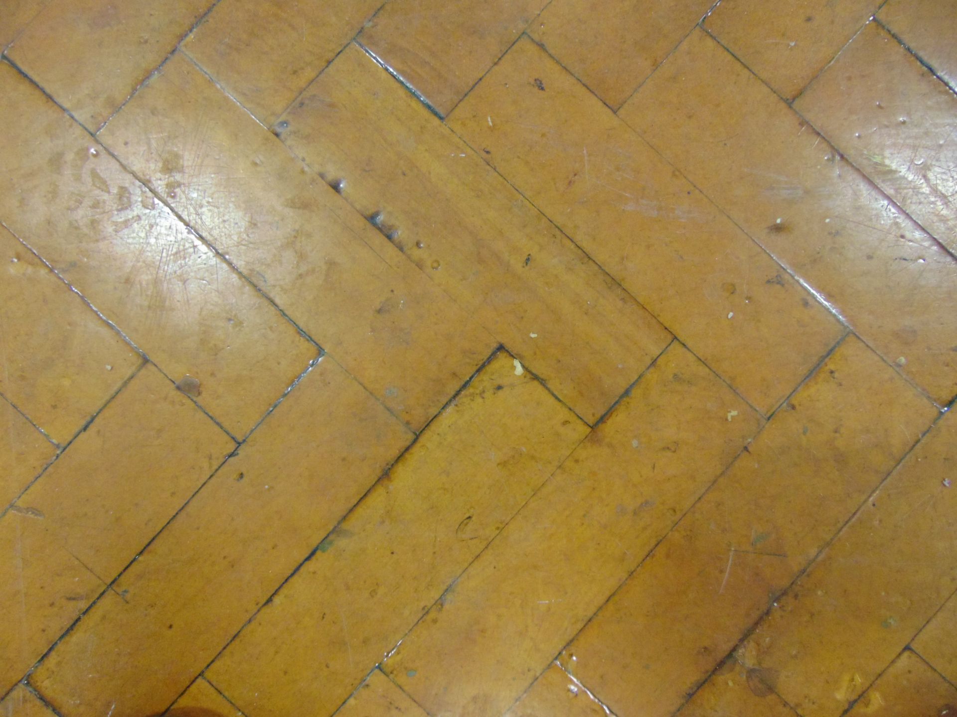 Entire Parquet Flooring in Sports Hall