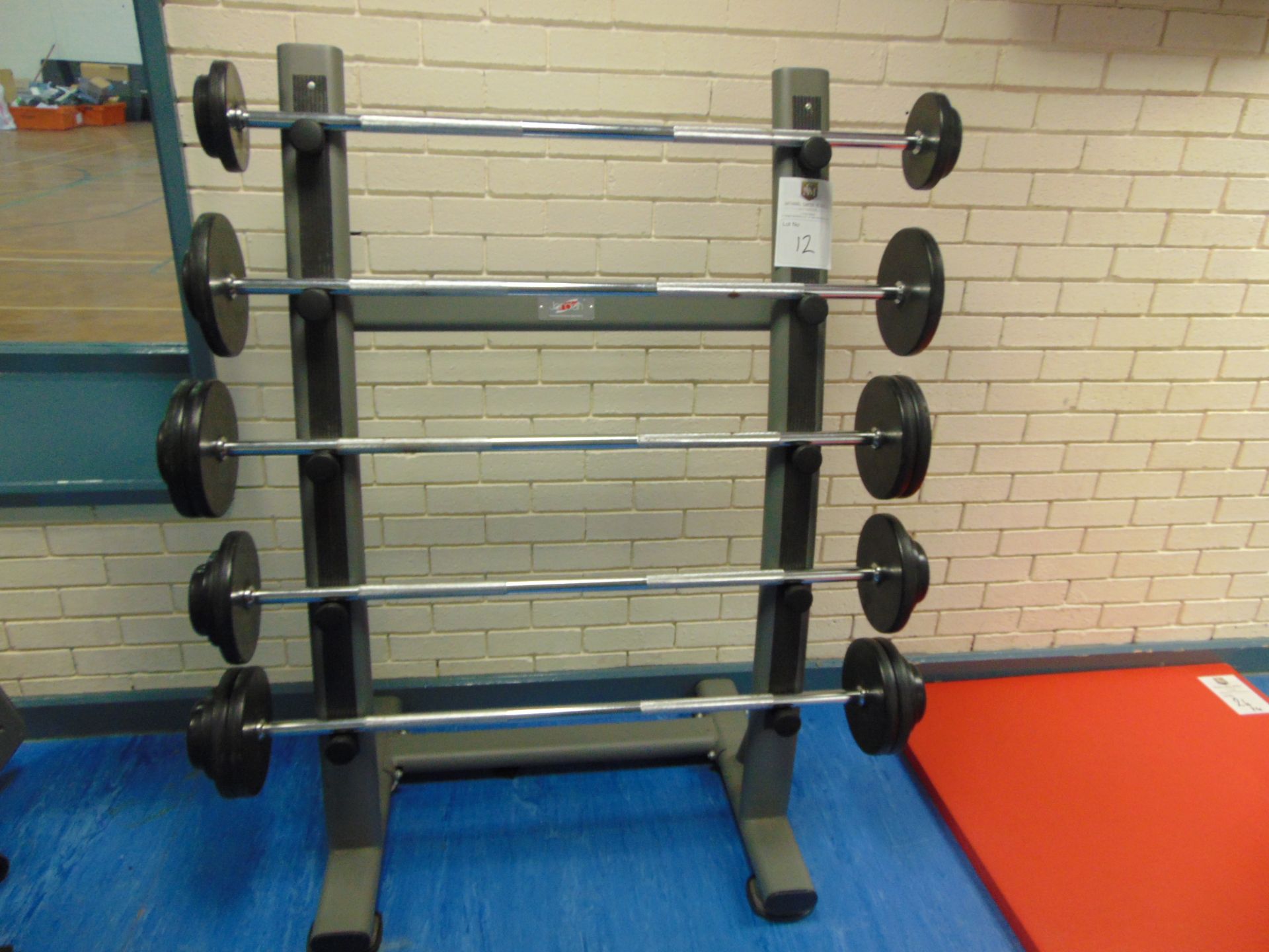 Jordan Weight Lifting Bar Station Weights From 20kg to 60kg x5 Bars