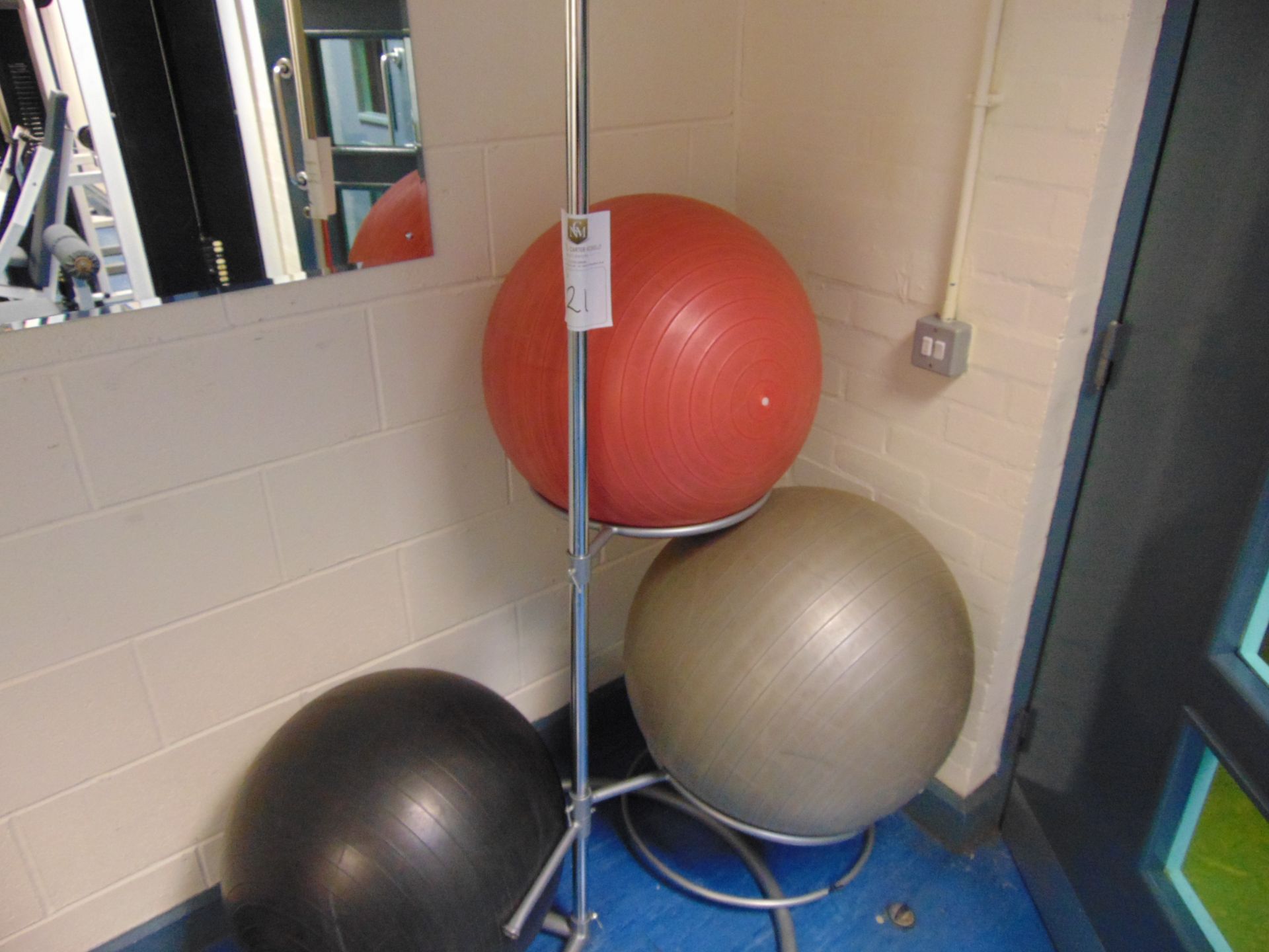 Exercise Balls On Stand x 3