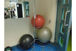 Exercise Balls And Stand x 3