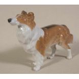 "Collie". Meissen, Knaufschwertermarke, 1. Wahl. Unbeschädigt, um 1900. Länge 16 cm. Selten.