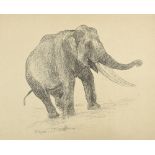 Giuseppe GRAZIOSI (1879-1942) Éléphant Lithographie, épreuve d'essai imprimée en noir sur vélin