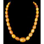 A string of butterscotch amber oval beads, 39cm long; and a costume string of pearls, yellow metal