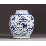 A Chinese blue and white pot