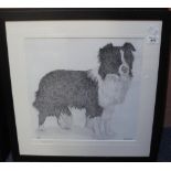 Gil Gregory, 'Border Collie', three matching monochrome prints,