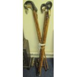 Collection of decorative shepherd's crook type walking sticks,