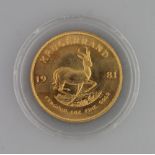 SOUTH AFRICAN 1981 KRUGGERAND, marked: 1 ounce fine gold. (B.P. 24% incl. VAT) CONDITION REPORT: Has