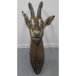 MOUNTED AFRICAN ANTELOPE HEAD, probably a Sable. (B.P. 24% incl. VAT)