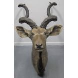 LARGE MOUNTED AFRICAN ANTELOPE HEAD, probably a Kudu bull. (B.P. 24% incl. VAT) CONDITION REPORT: