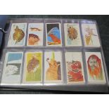 Blue album of Brooke Bond Tea cards,